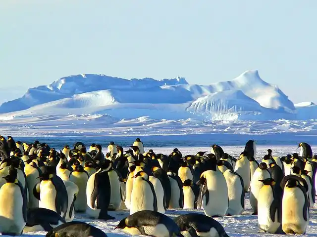 antarctica image