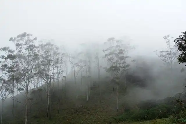 india-rubber image