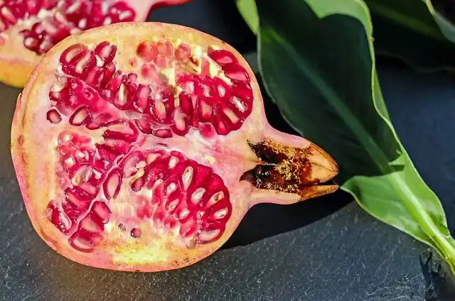 the-pomegranate image