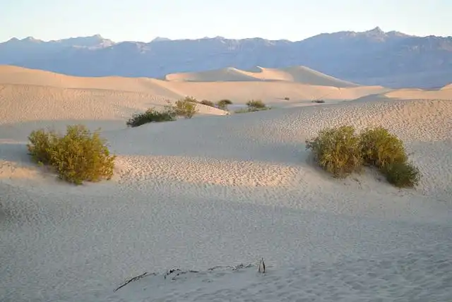 tumbleweed image